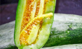 有哪些網(wǎng)紅有瓜吃,盤點那些“有瓜吃”的明星網(wǎng)紅