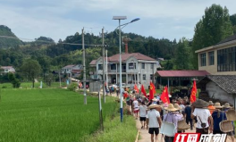 紅網(wǎng)沅陵,聚焦沅陵發(fā)展，傳遞本土聲音