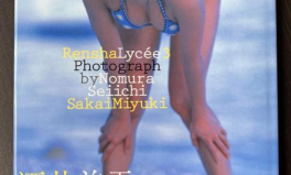 酒井慧寫真,光影交織下的美麗瞬間