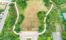 拱橋小姐姐,揭秘現(xiàn)代都市中的獨(dú)特魅力