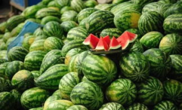 拉薩網(wǎng)紅吃瓜事件真相揭秘,真相與誤解的交織