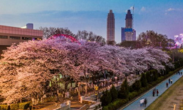 吃瓜爆料抖音網紅大川,吃瓜爆料背后的故事與真相