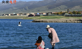 青湖網(wǎng)紅,揭秘網(wǎng)絡(luò)紅人的魅力與影響力