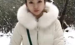 17年雪地卑微小姐姐,卑微小姐姐的感人故事