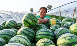 人民吃瓜網(wǎng),揭秘娛樂圈幕后故事，帶你領(lǐng)略明星真實(shí)生活