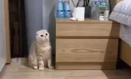 戲精小姐姐搞笑段子圖片,笑出腹肌的段子圖集